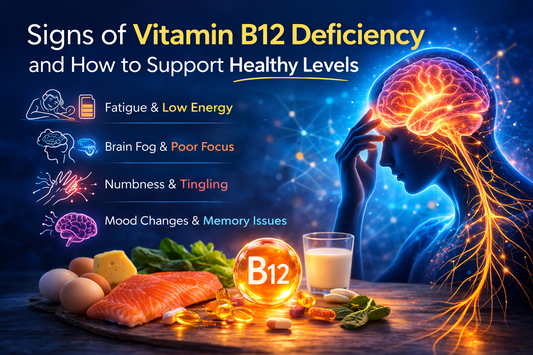 Vitamin B12 deficiency symptoms illustration showing fatigue, brain fog, numbness, and memory issues with B12 rich foods.