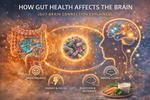 How Gut Health Affects the Brain (Gut-Brain Connection Explained)